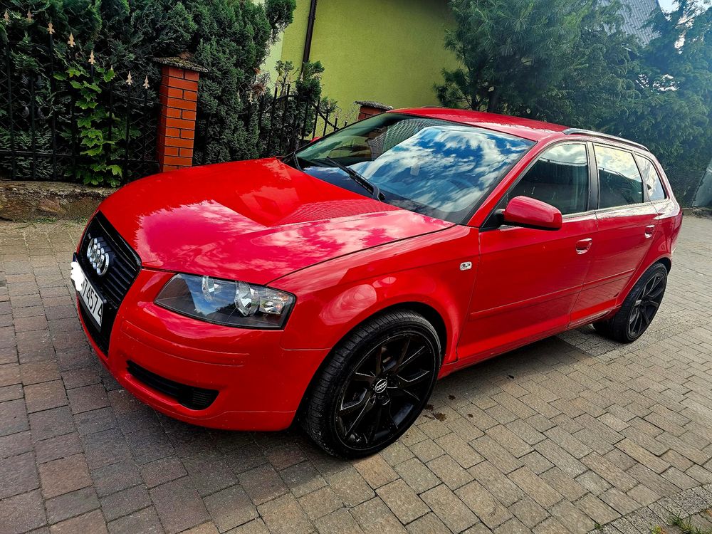 Audi A3 8P 2.0 TDI DPF Quattro Ambiente 2006
