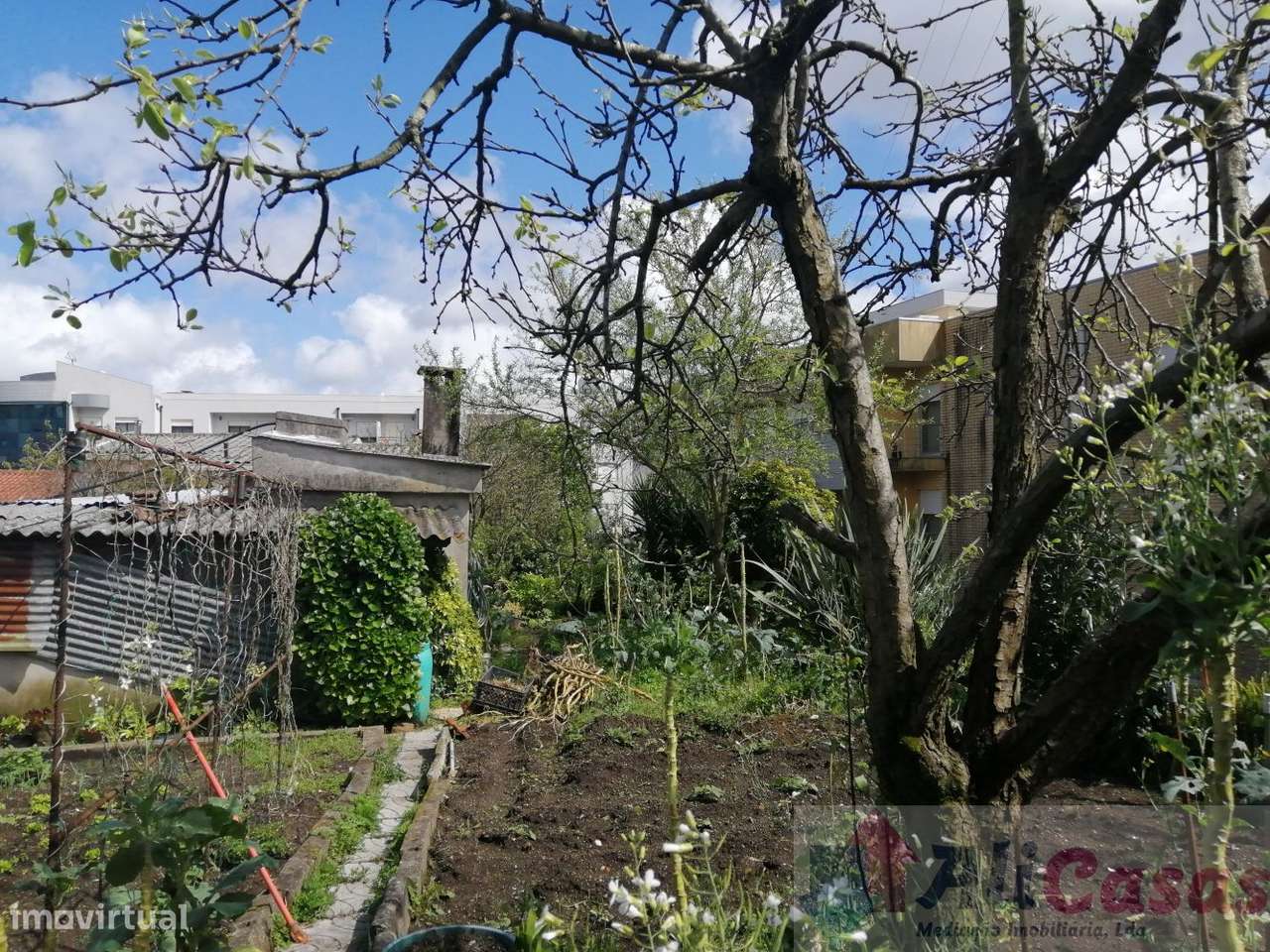 Excelente Vivenda C/Terreno-9