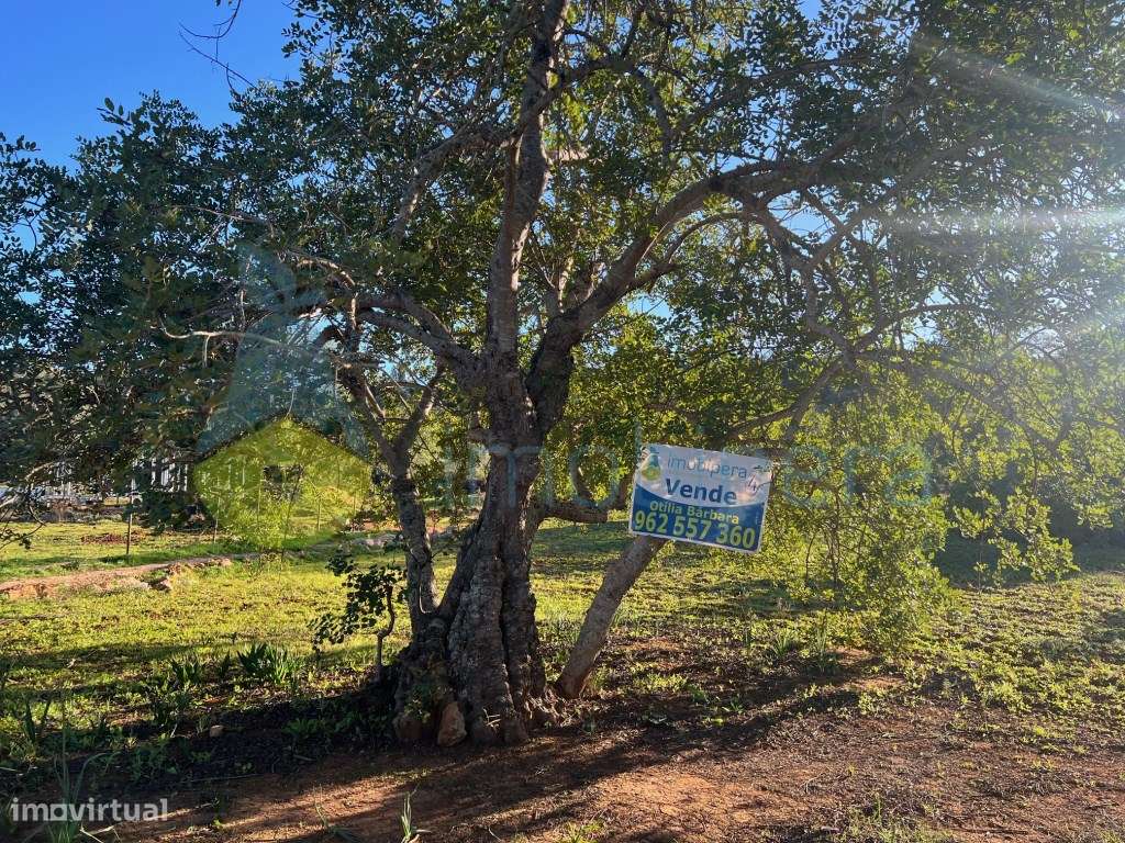 TERRENO RÚSTICO 2.900 m2 ZONA TRANQUILA LOCALIZADO ENTRE PADERNE E ... - Grande imagem: 4/8