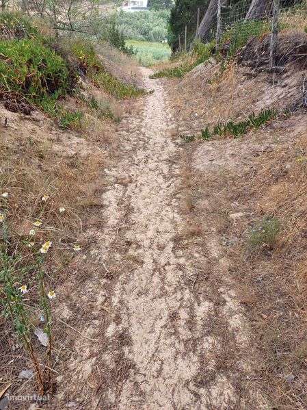 Terreno +5000m com apoio agricola em alvenaria uma nascente de água - Grande imagem: 4/4