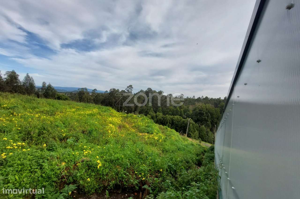 Terreno Urbano em Travassô - Grande imagem: 2/18