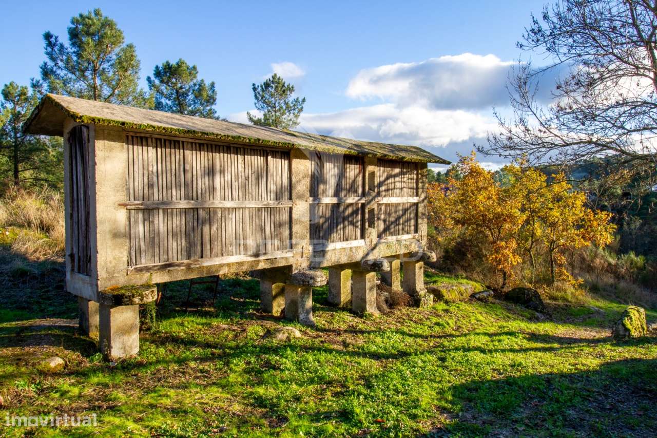 Quinta com casas e moinhos a 5 kms de Vila Real - Grande imagem: 4/40