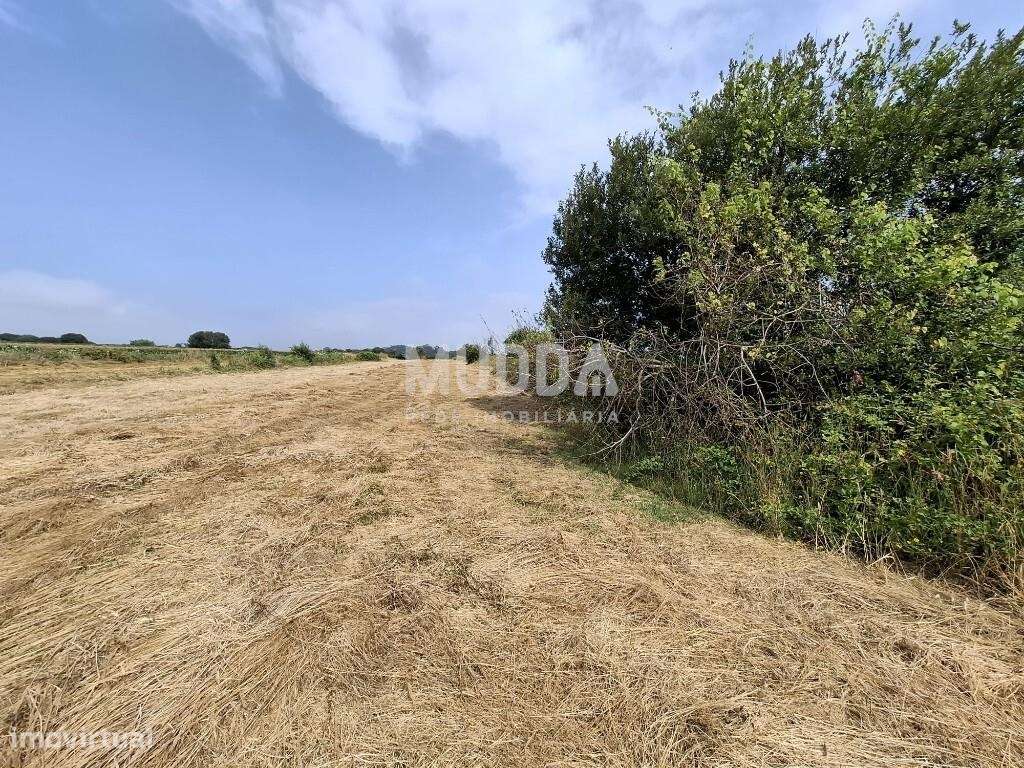 Terreno Rústico, Cacia, Aveiro - Grande imagem: 5/6