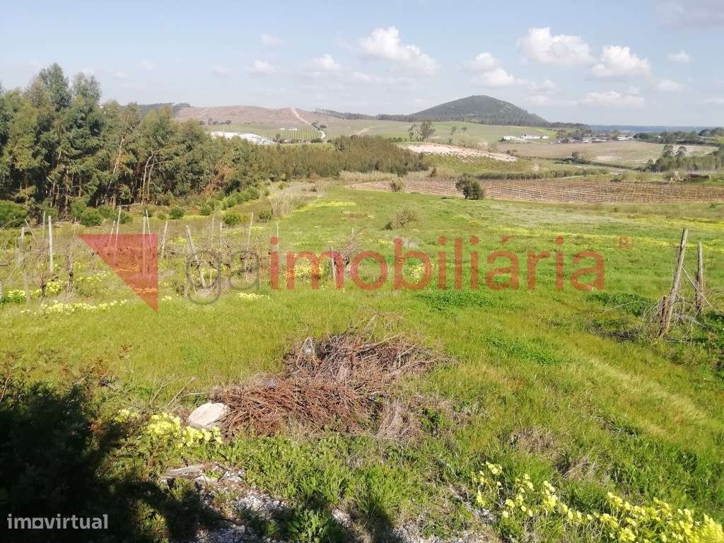 Terreno com Moinho-6