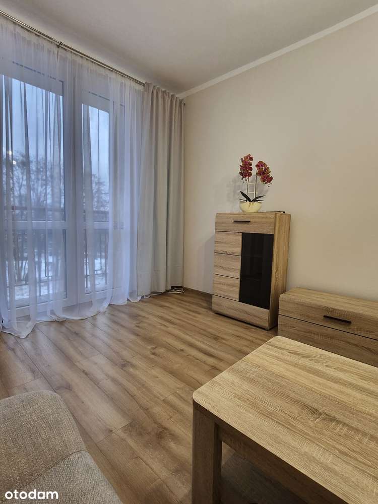 Mieszkanie 2-pokojowe na wynajem - Pełny obrazek: 4/17