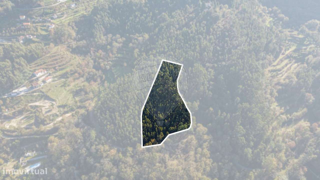 Terreno  para venda - Grande imagem: 5/12