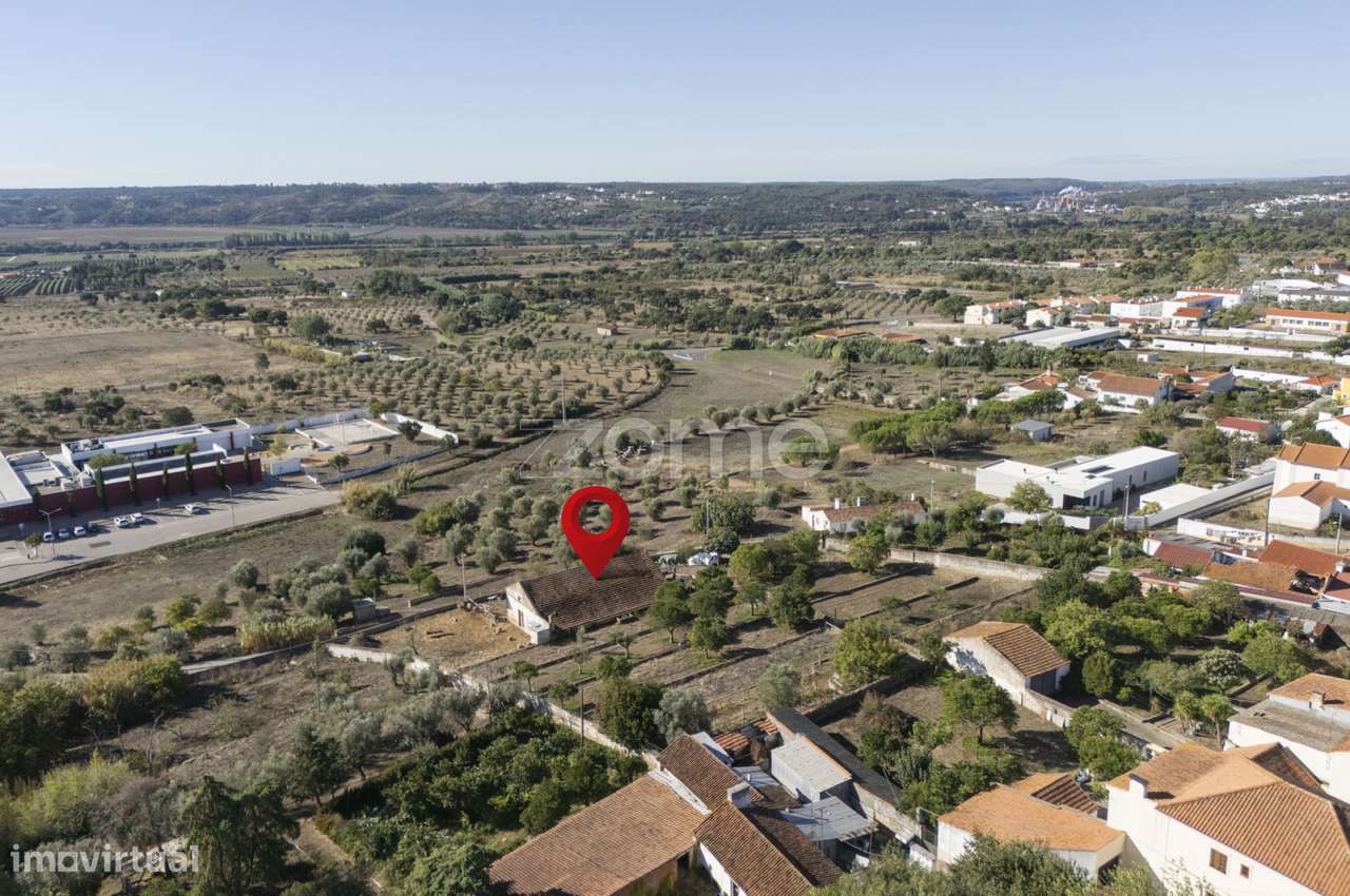 Lagar || Montalvo, Constância-29