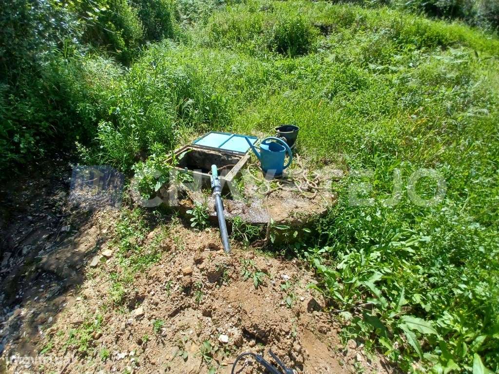 Terreno rústico com vista para a Albufeira do Castelo do Bode. - Grande imagem: 5/10