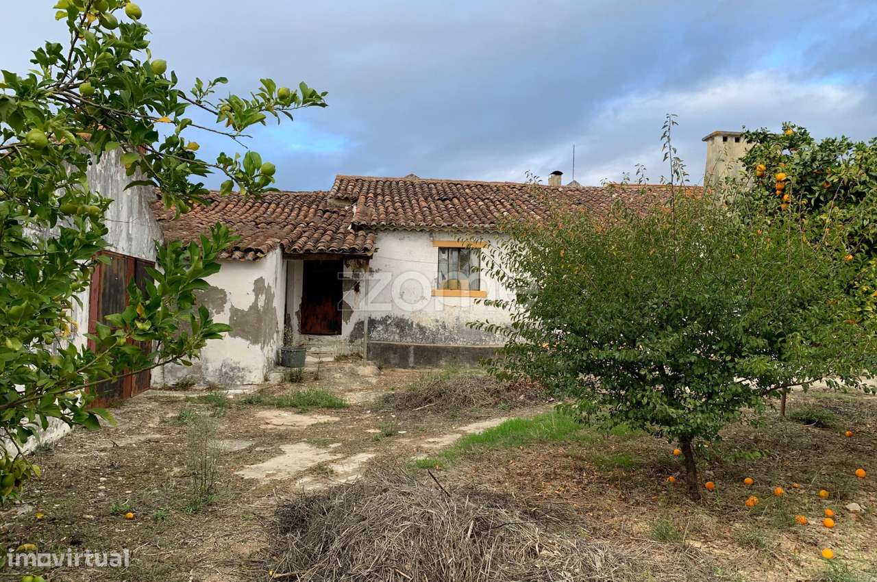 Quinta com Potencial em Santarém - Grande imagem: 3/48