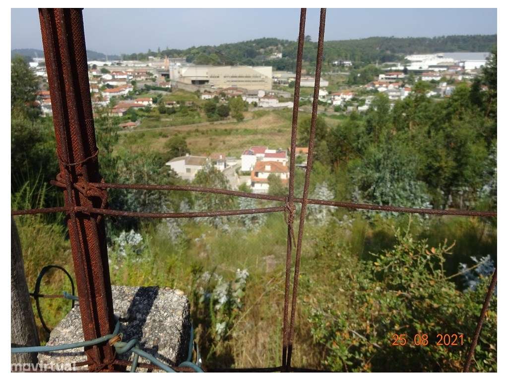 Quintinha - Moreira de Cónegos, Guimarães-23