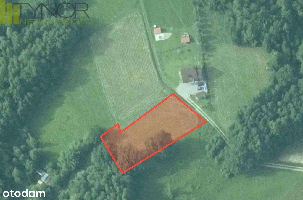 Izdebnik działka budowlana 15 arów przy lesie-6