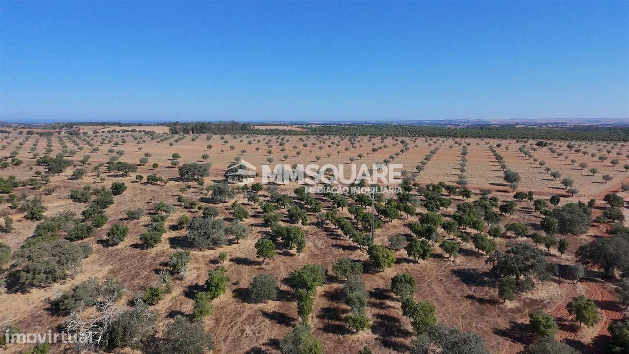Herdade  Venda em Garvão e Santa Luzia,Ourique-22
