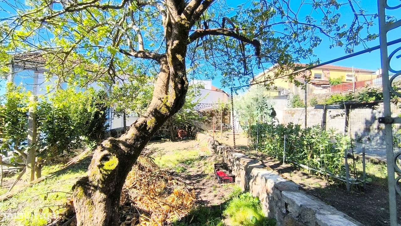 Quintinha com 4 Casas em Porto Campanhã-23
