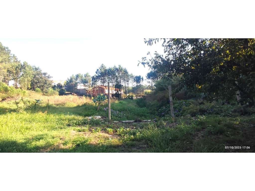 Quinta com duas moradias, anexos, diversas arvores de fruto, vinha ...-11