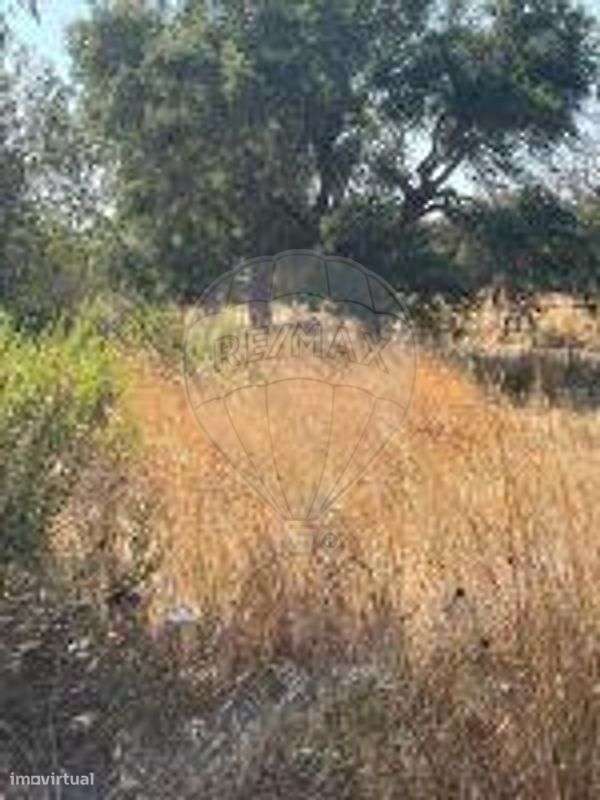 Terreno  para venda-17