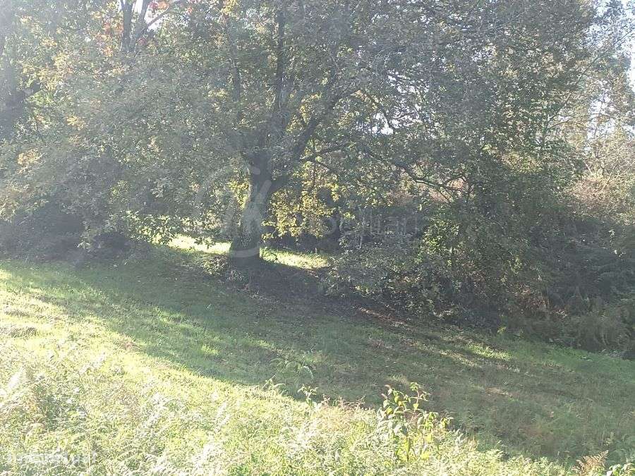 Terreno sito na Légua-12