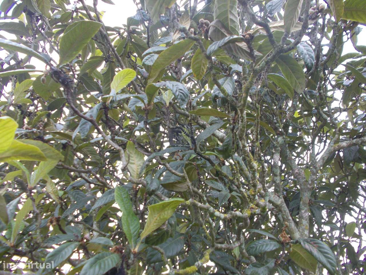 Terreno de 3.417 m2 p/ Construção de Moradia. - Grande imagem: 5/7