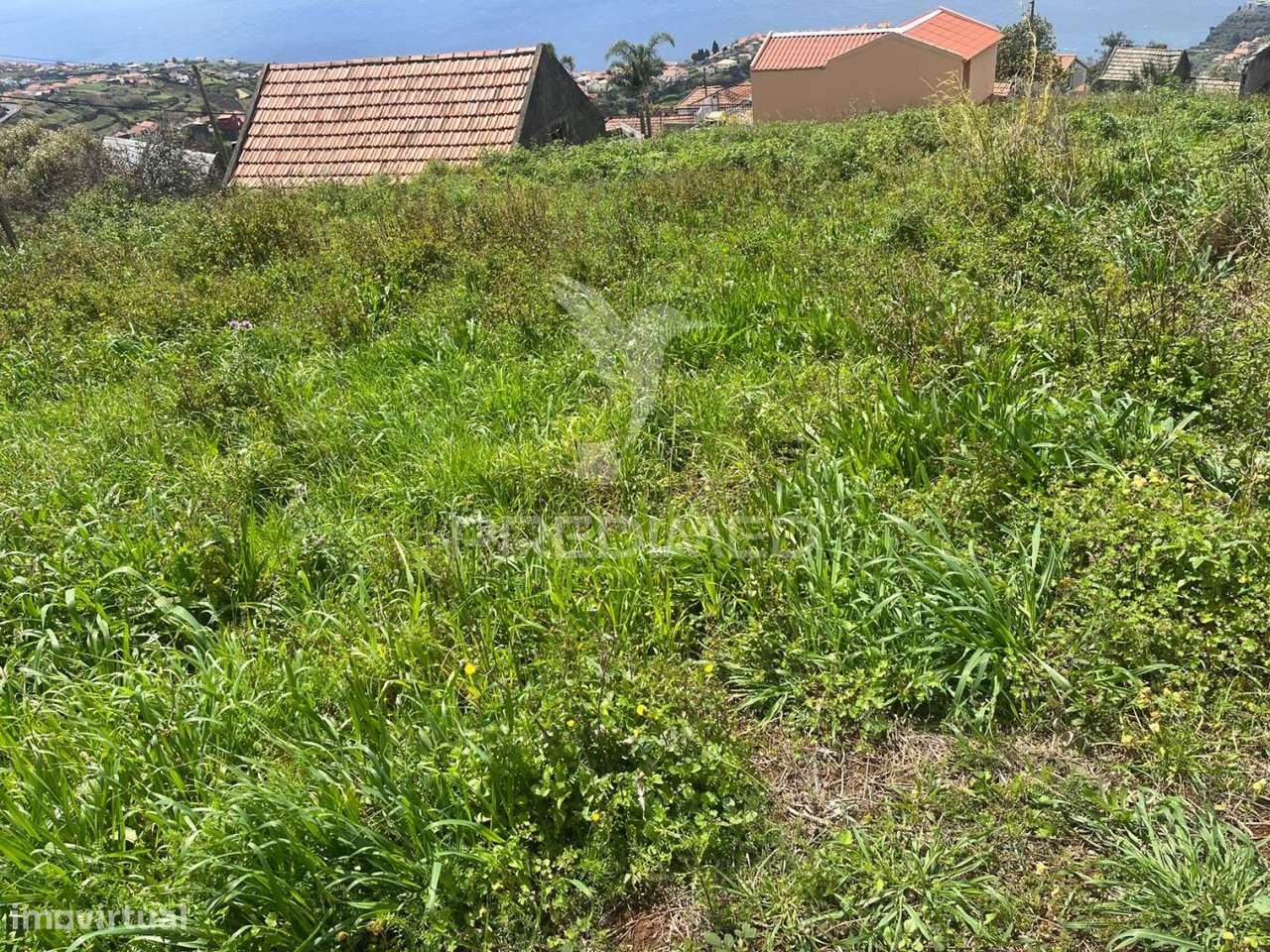 VENDO TERRENO E PALHEIRO NA CALHETA - Grande imagem: 2/6