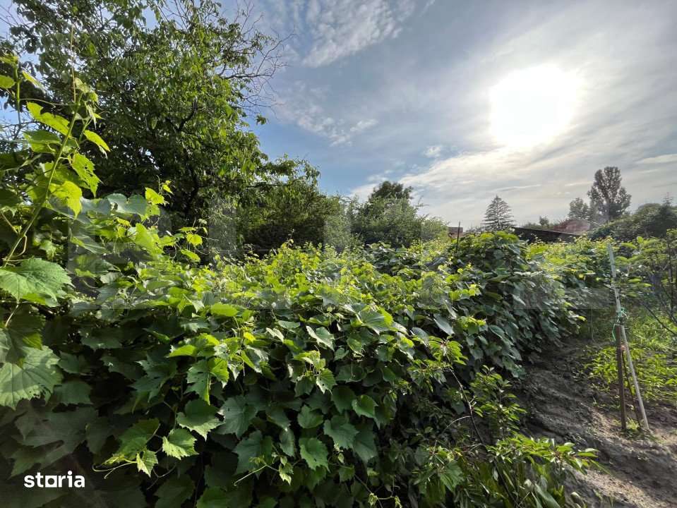 Casa D + P 150 mp utili si teren 1.347 mp, zona Stadionului - Imagine principală: 4/19