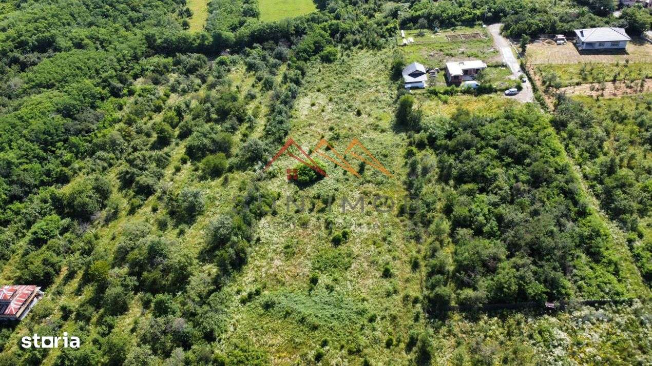 Teren intravilan 20280 mp, oportunitate investitie, Gageni, Prahova - Imagine principală: 2/19