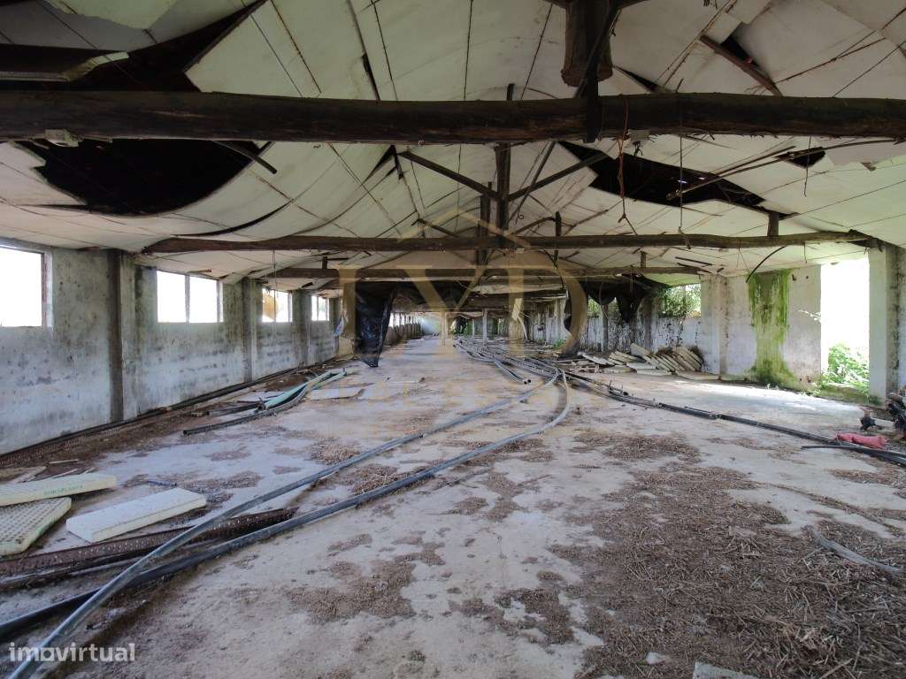 Armazém para venda em Amoreira da Gândara, Anadia | Antigos aviário...-7