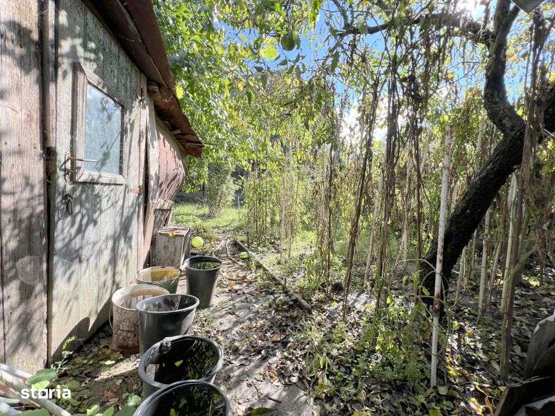 Casa cu teren 440mp zona Cosbuc service Ena-6