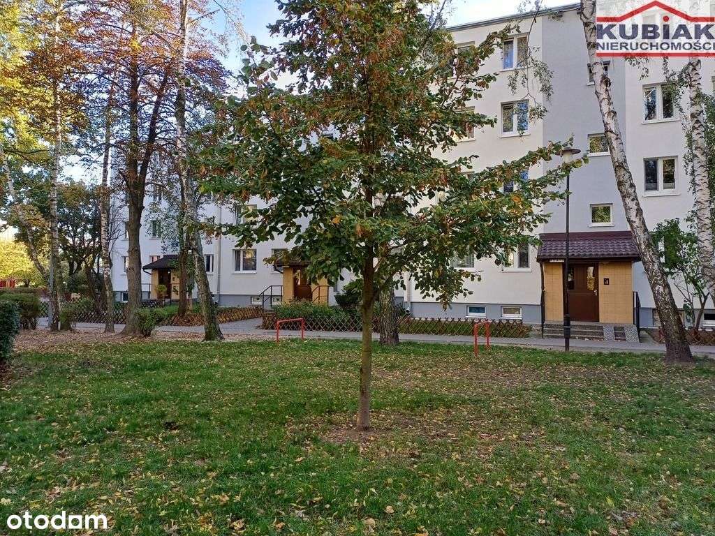 Mieszkanie do remontu I piętro 3 min do szkoły-15