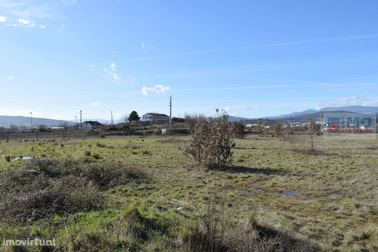 Lote de Terreno  Venda em Alcaria,Fundão