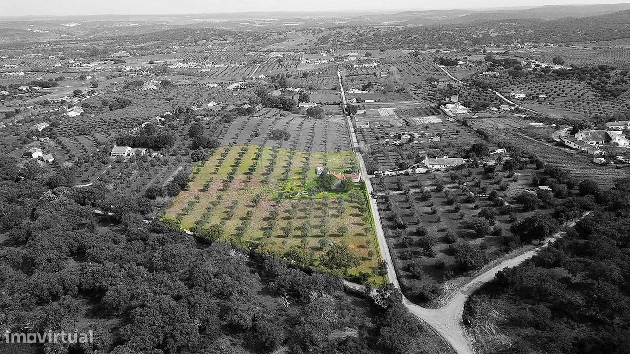 Quinta  para venda - Grande imagem: 4/29