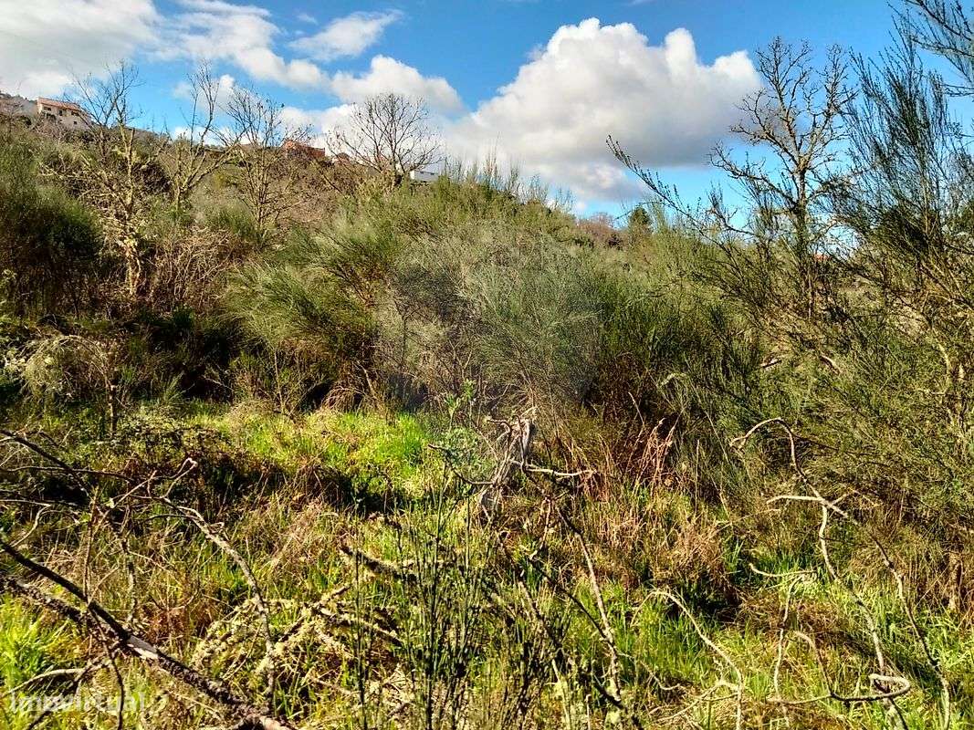 Terreno  para venda - Grande imagem: 3/9