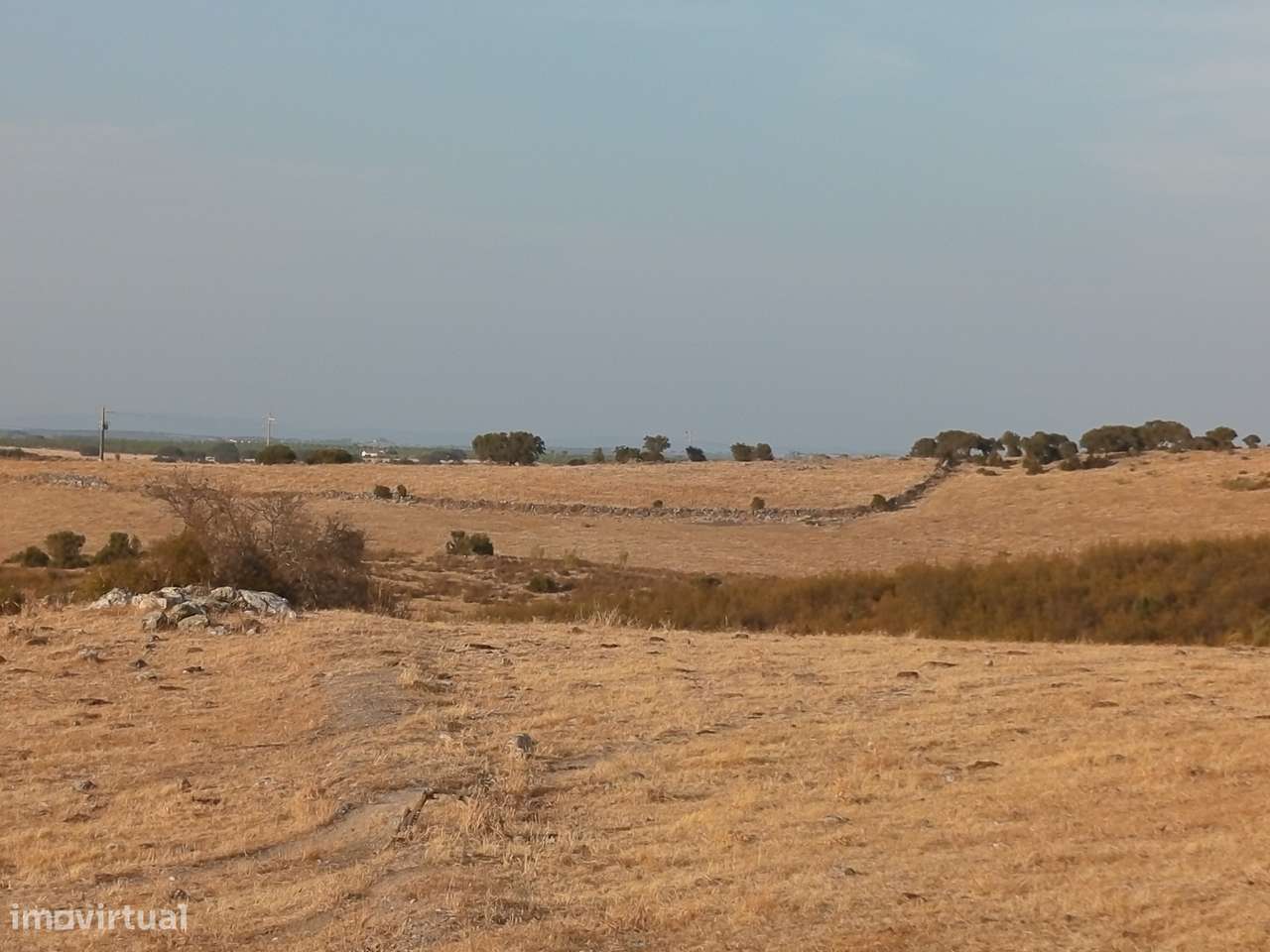 Terreno na Margem Alqueva-22