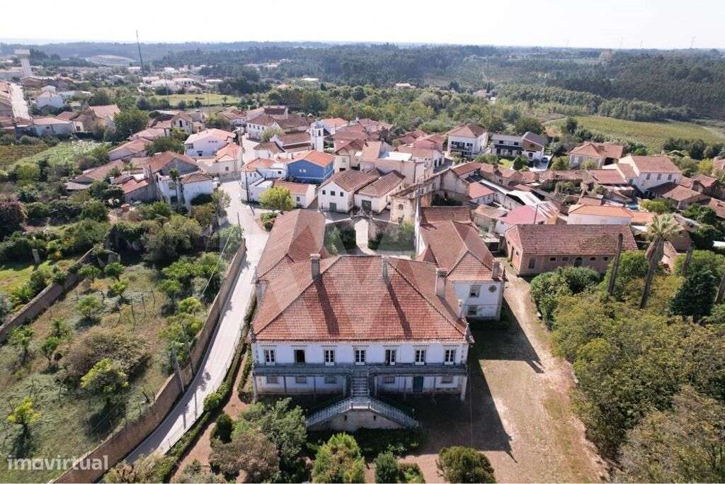 Paço de Ois- Palacete com vista para a Serra do Caramulo - Grande imagem: 4/60