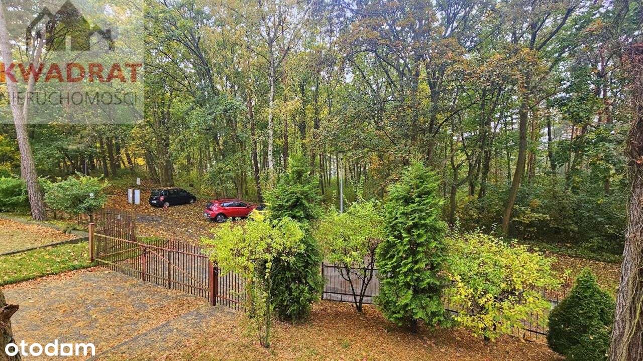 2 pokojowy apartament w Krynicy Morskiej blisko pl-10