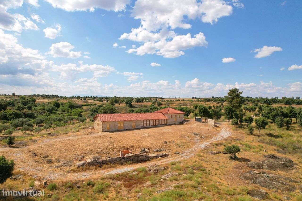 Quinta com vistas fantásticas para Monsanto-5