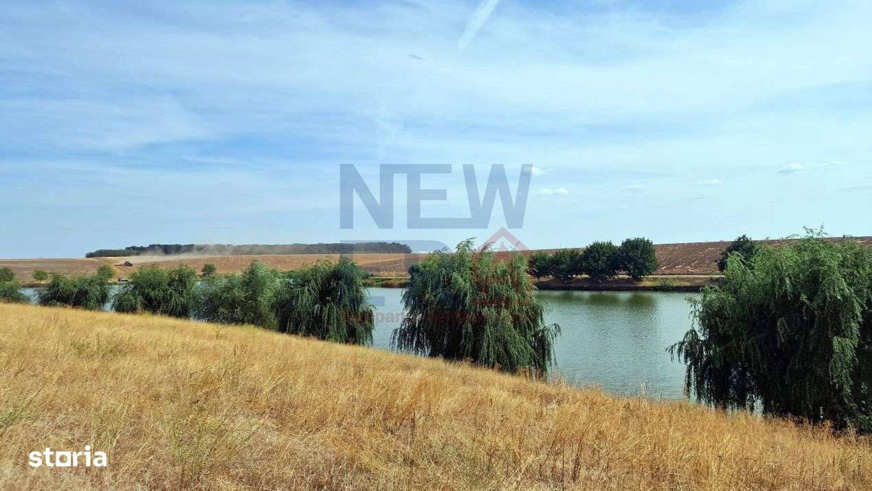 Teren de vanzare de 11.068 mp extravilan arabil in zona Belciugatele - - Imagine principală: 5/6