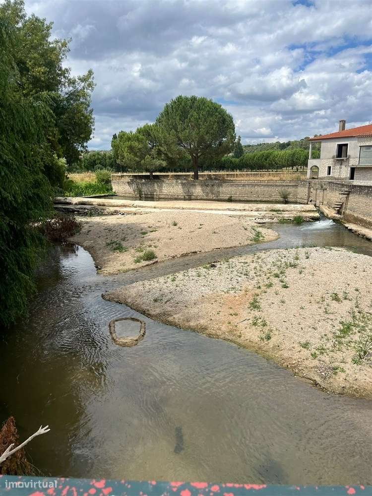 Quinta Rural - Torres Novas - Junto ao Rio Almonda-10
