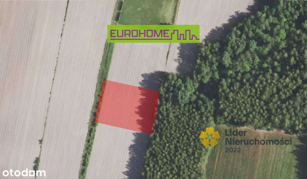 Działka budowlana | 23 ar | WZ | Podborze - Pełny obrazek: 4/8