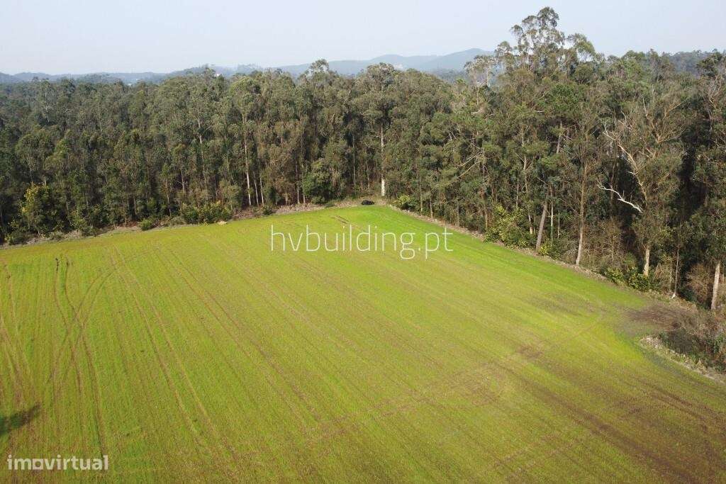 Terreno para construção em Gemeses, Esposende-6