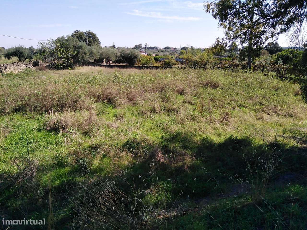 Tereno em Alcains, Castelo Branco - Grande imagem: 5/8