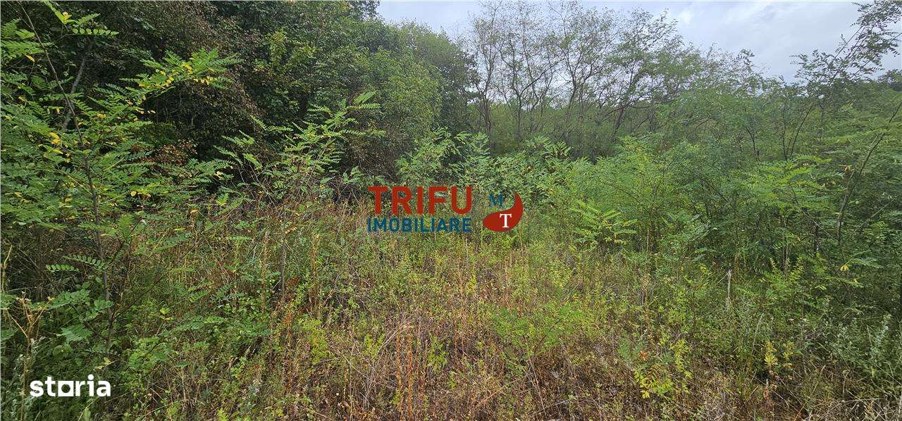 Teren de vanzare langa padure cu panorama asupra orasului - Imagine principală: 5/5