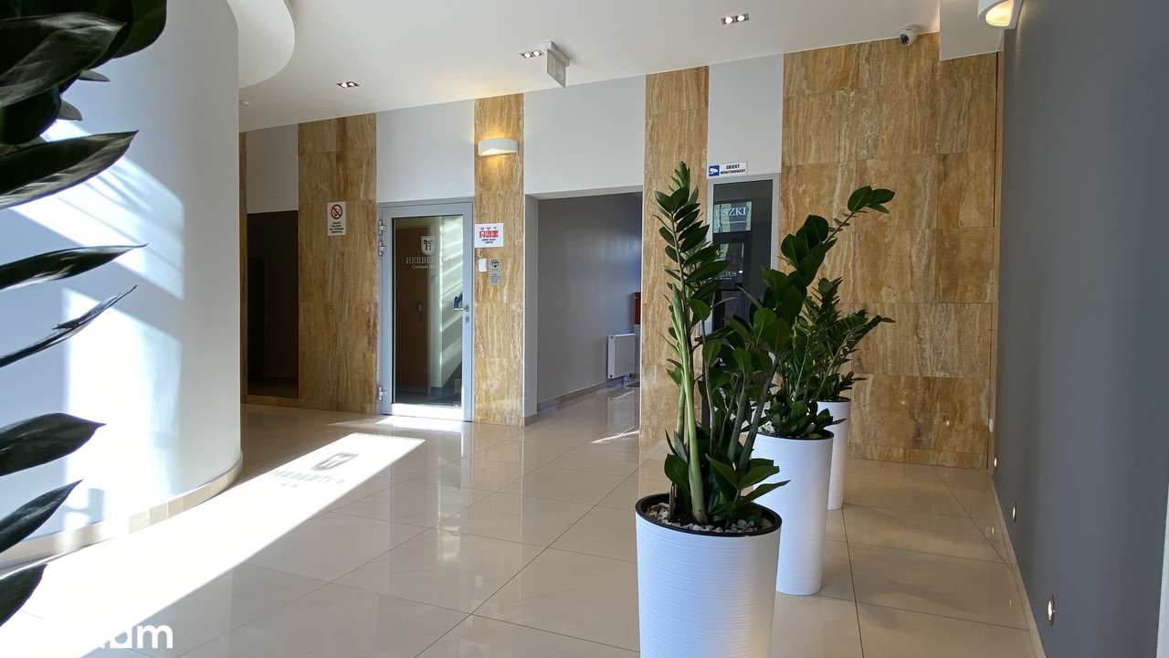 Biuro 24m2 * Centrum * Winda*Klima* Parking - Pełny obrazek: 4/6