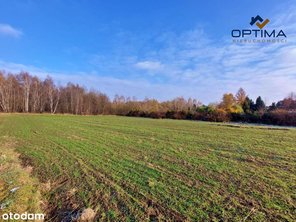 Piękna działka pod lasem - Pełny obrazek: 3/3