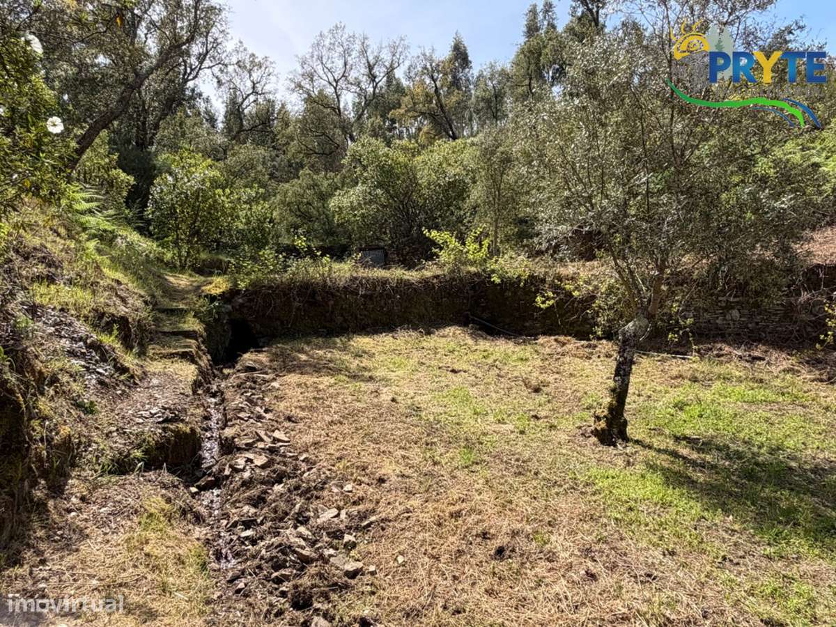 Terreno com uma ruína não registada a 6 quilómetros da Sertã-21