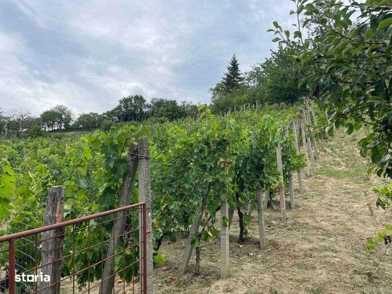 Vand casa in Zalau - Imagine principală: 4/8