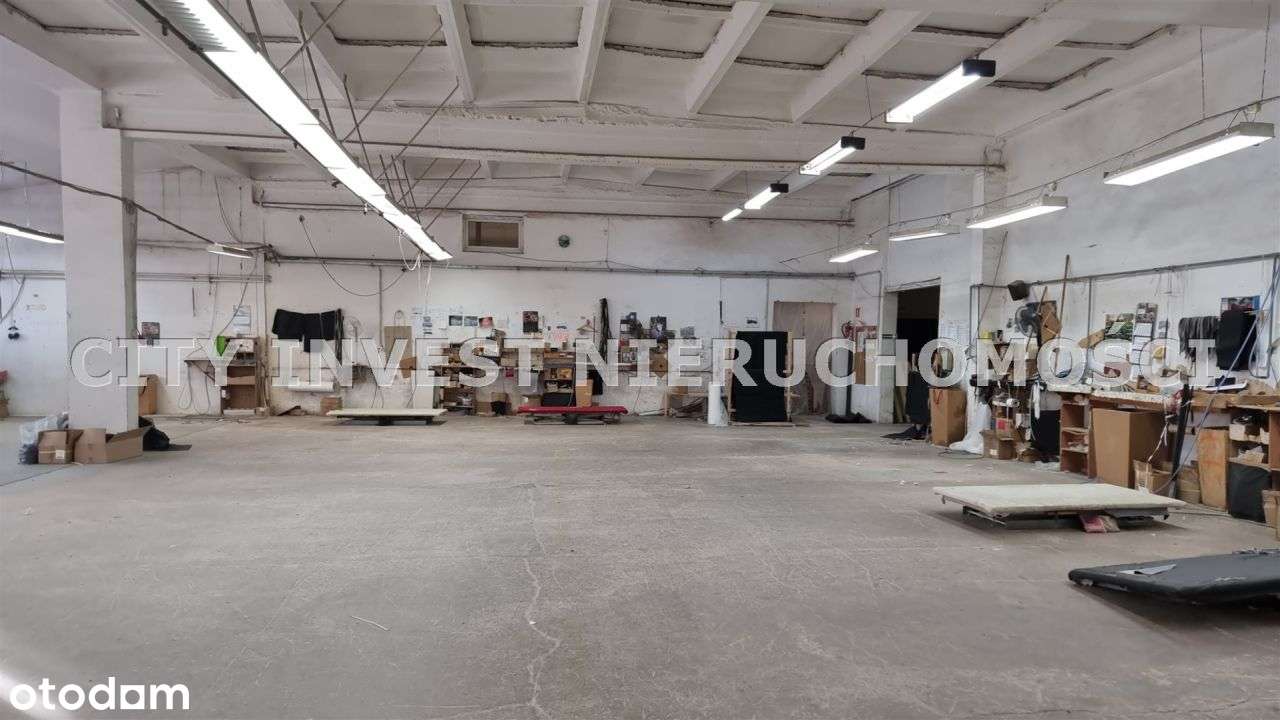 Hala/Magazyn, 4 750 m², Cybinka-9