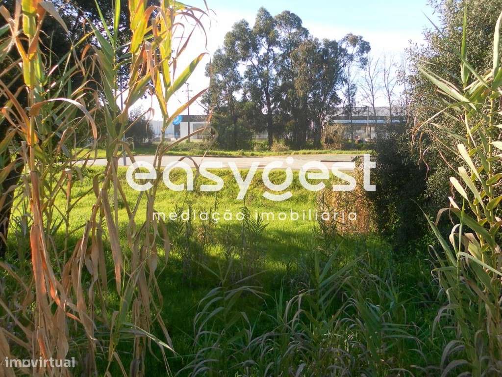 Lote de Terreno Urbano 253m2 para Moradia - Entroncamento - Grande imagem: 4/8