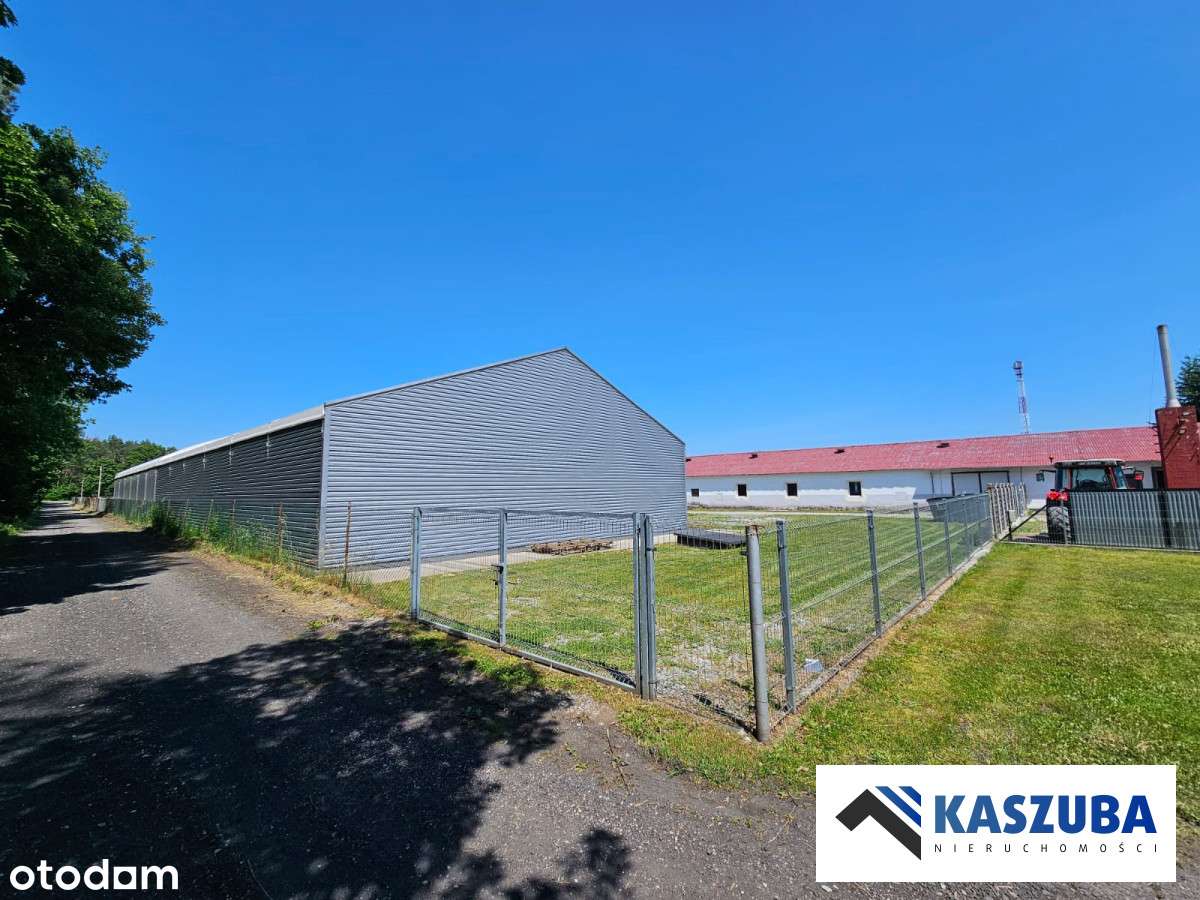 Poźrzadło dwie hale warsztat dom 2,48ha działka - Pełny obrazek: 5/20
