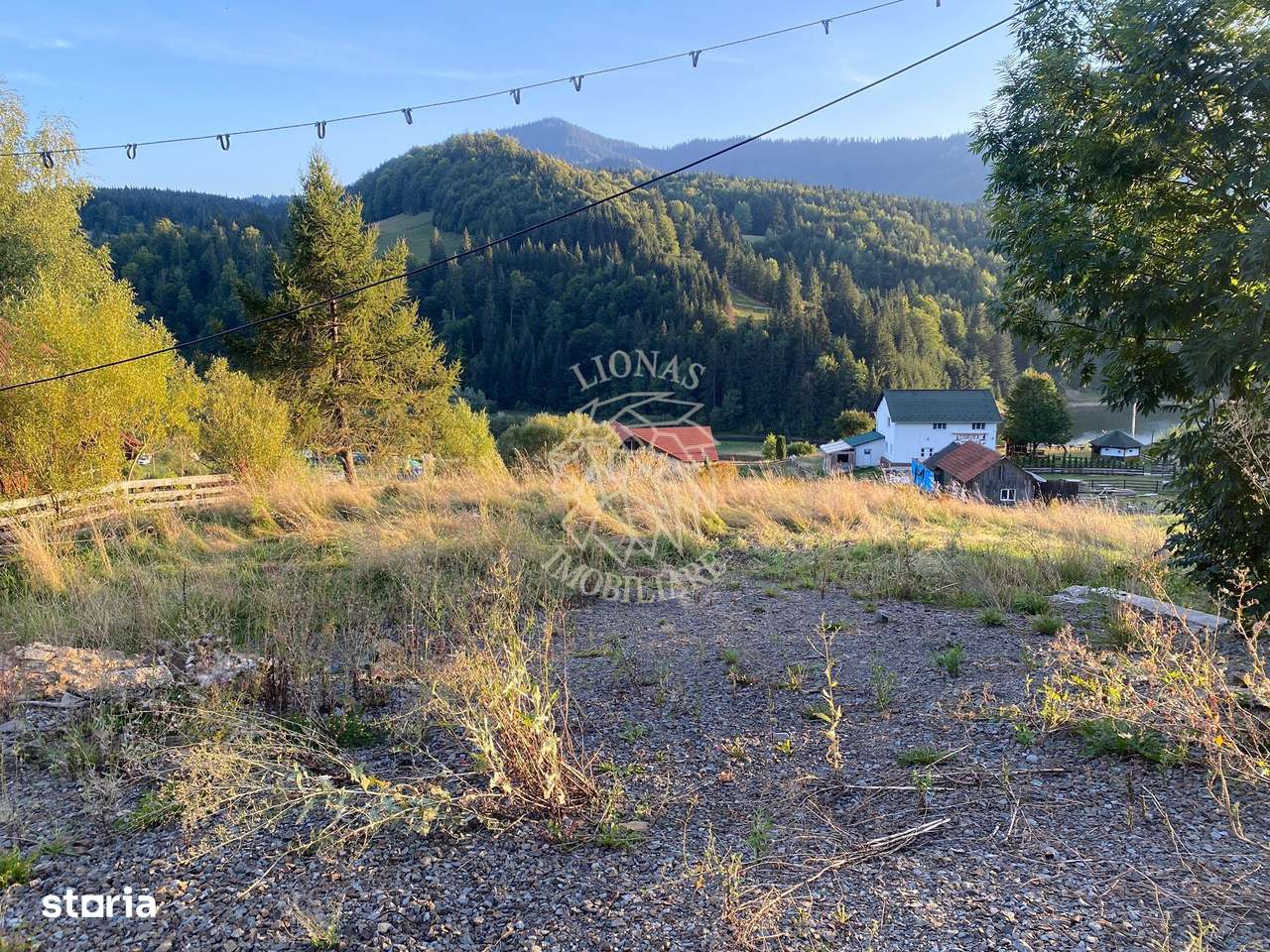 Teren Intravilan 1000mp-panorama-oportunitate investitie-Colibita - Imagine principală: 2/8