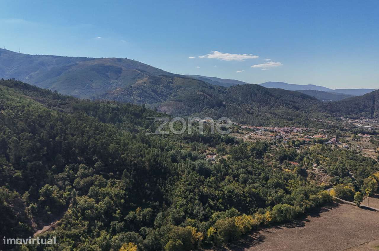 7 Terrenos Rústicos em Folques, Arganil - Grande imagem: 4/15