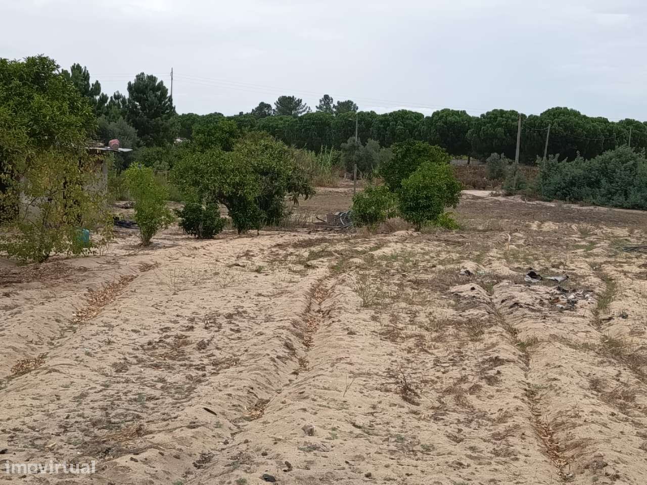 Moradia T3 para recuperar junto Fazendas de Almeirim, Santarém-4
